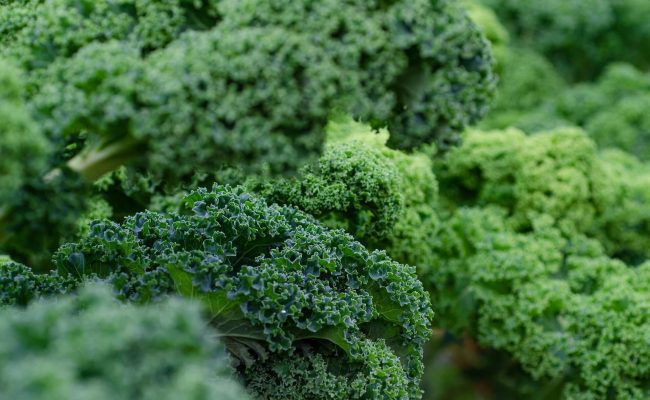 Kale 2